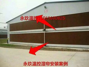 榴莲视频色版APP安装现场