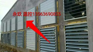 榴莲视频色板下载污安装现场