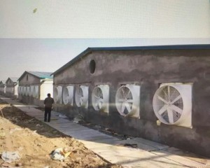 榴莲视频色板下载污安装现场
